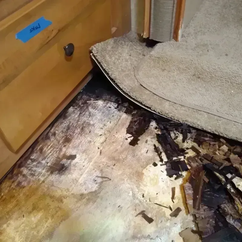 Wood Floor Water Damage in Oxon Hill, MD